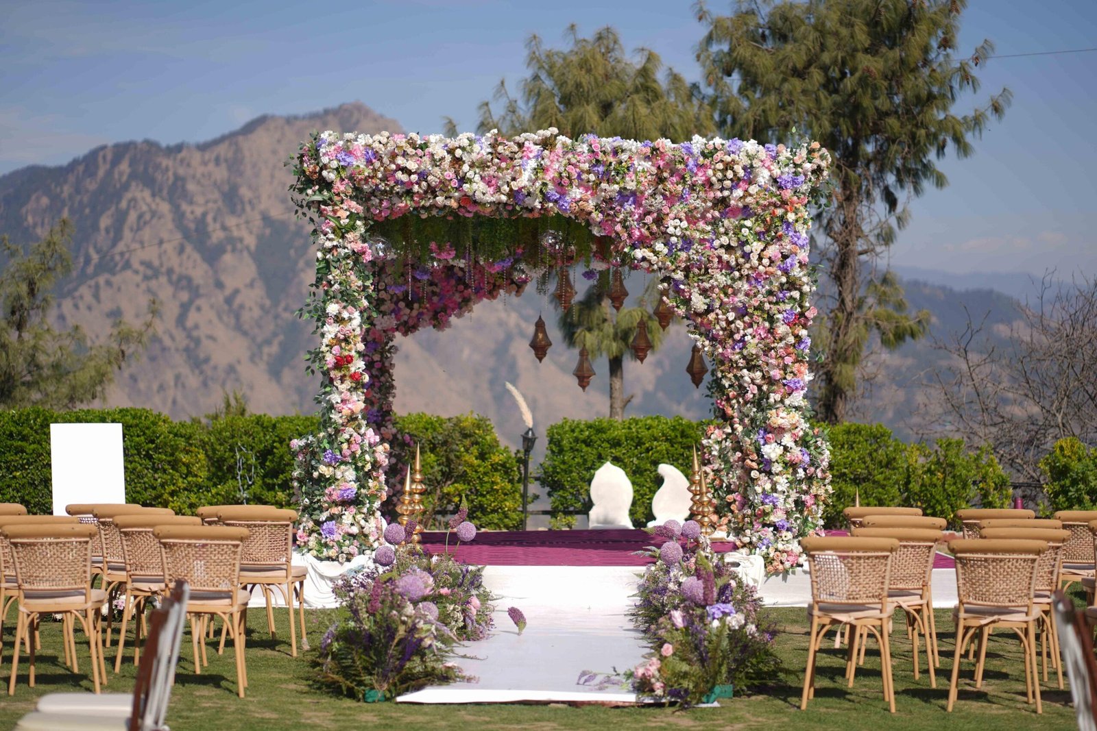 WhatsApp Image 2026-03-21 at 23.24.24