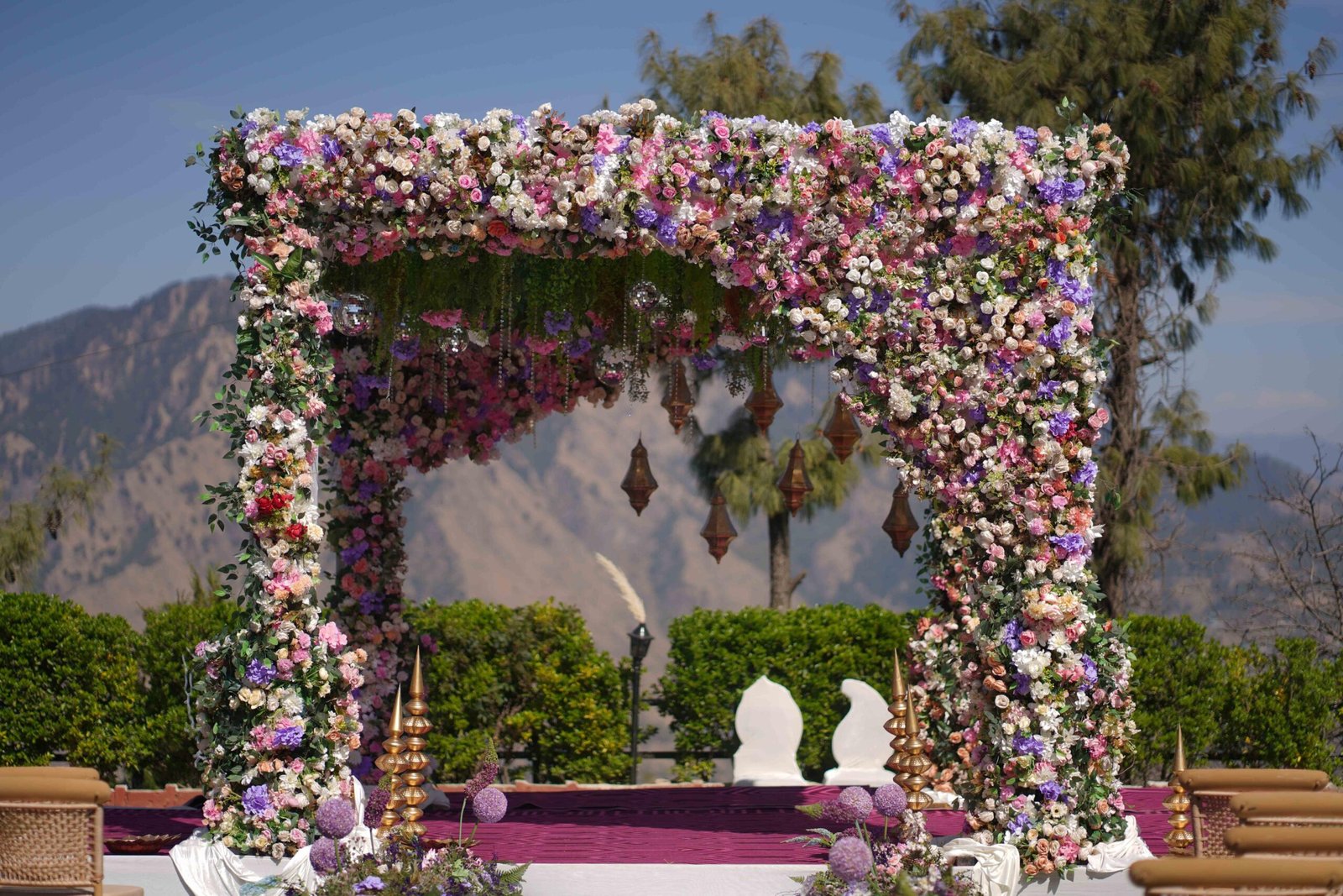 WhatsApp Image 2026-03-21 at 23.25.09