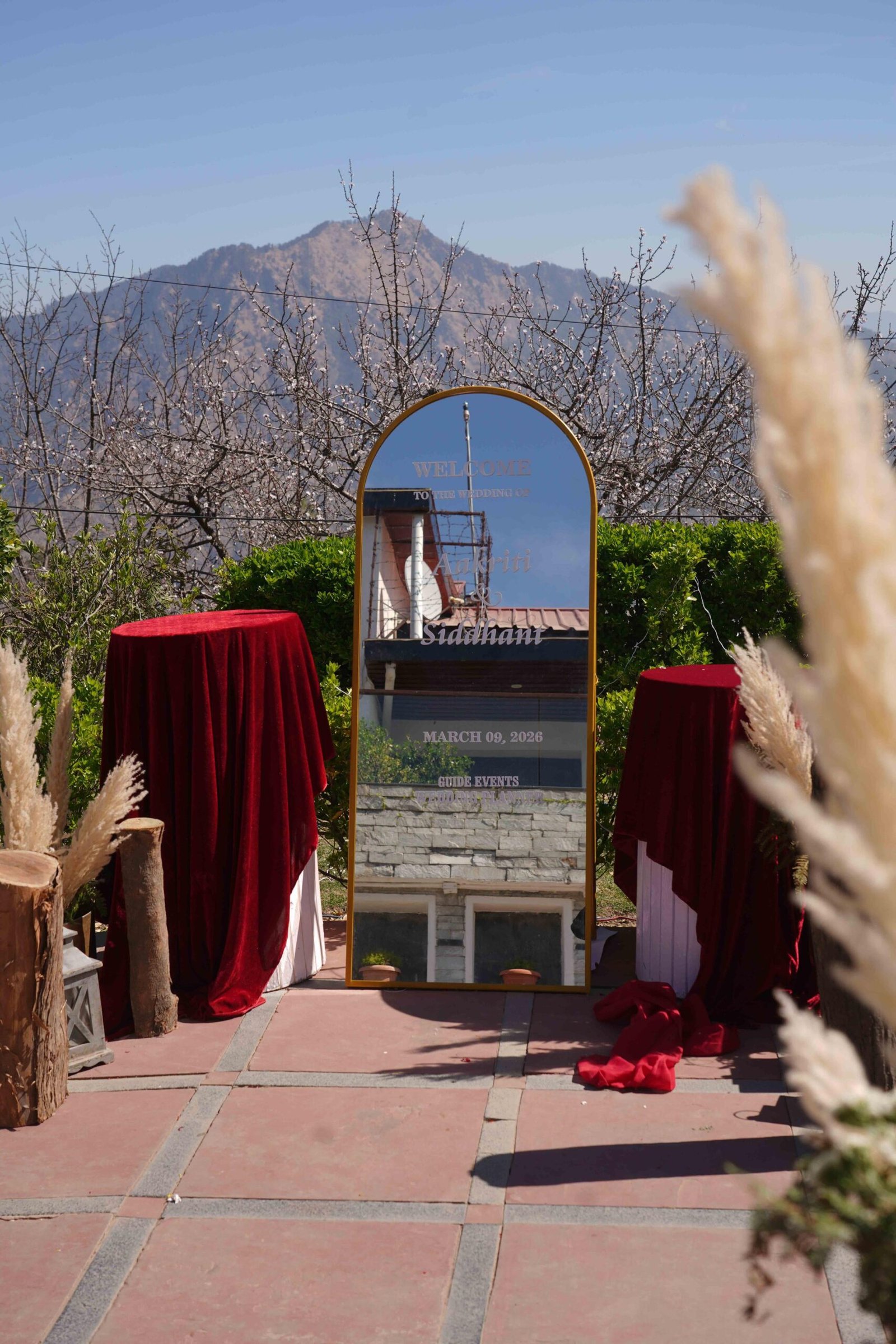 WhatsApp Image 2026-03-21 at 23.33.11